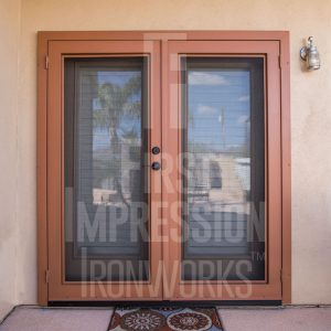 Clear View French Iron Security Door
