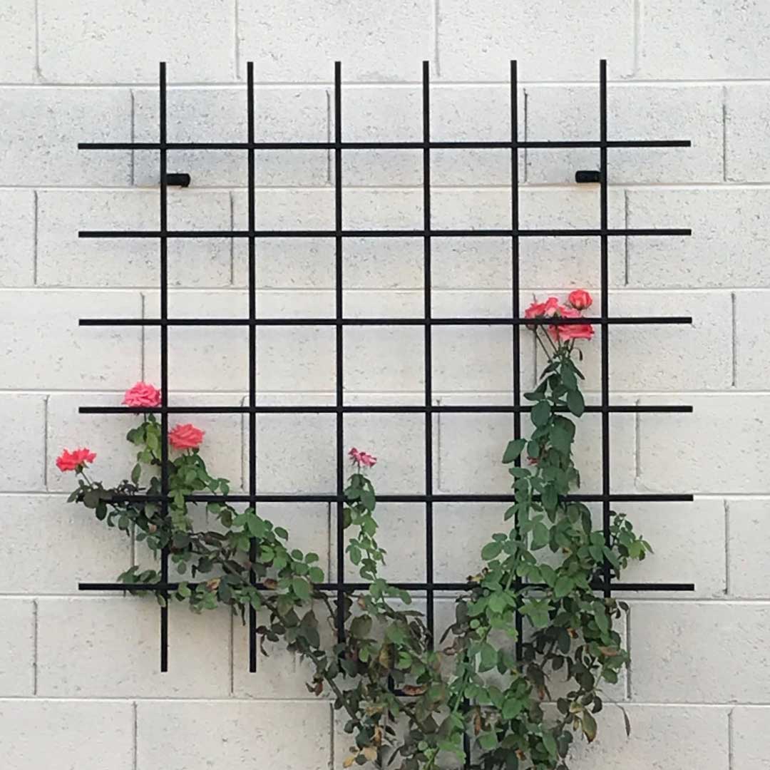 First Impression Ironworks Trellis on Wall of Home