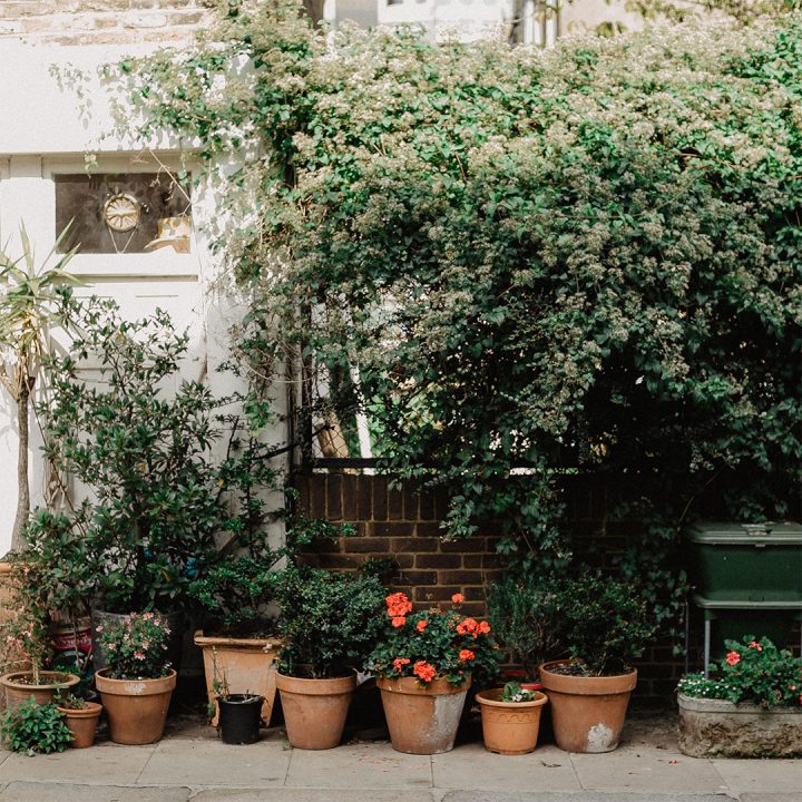 Wall outside of a home with several planters filled with flowers and plants