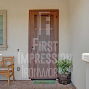 Clear View Urbino Iron Security Door