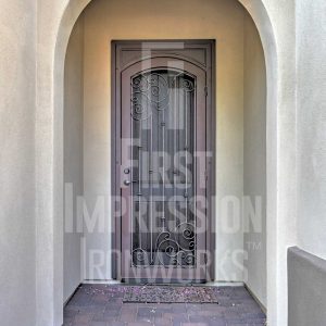 Napa Iron Security Door