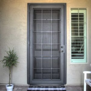 Texas Colonial Iron Security Door