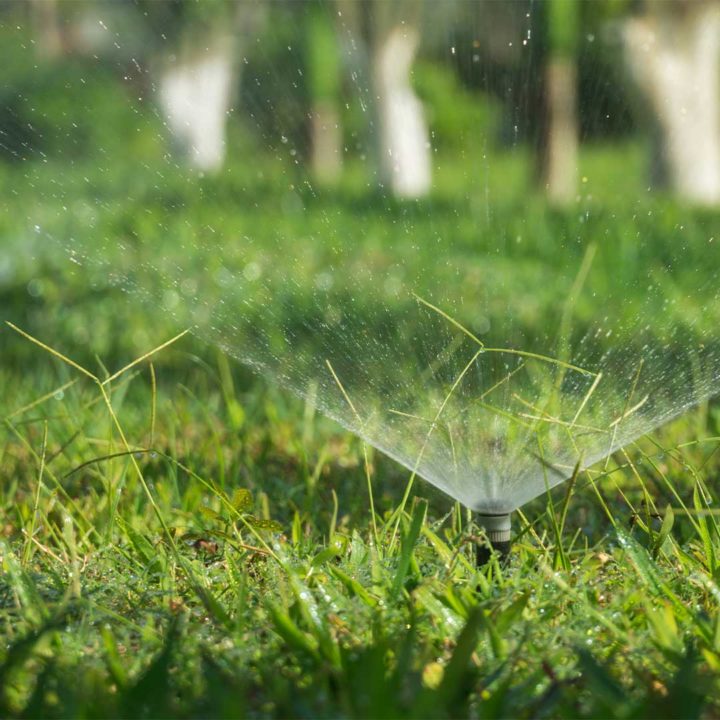Sprinkler in grass