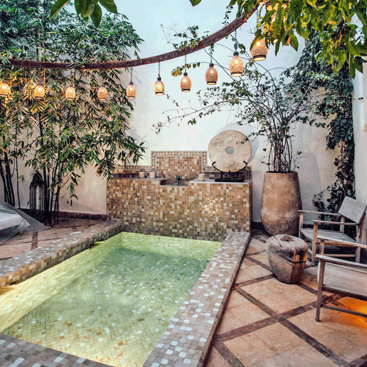 backyard water feature surrounded by plants a lights