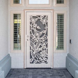 Custom HD Iron Security Door
