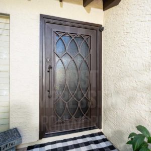Custom Exclusive Plasma Iron Entry Door