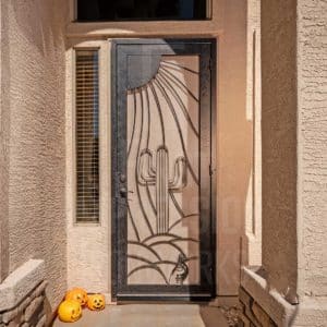 Cactus Bend Signature Iron Security Door