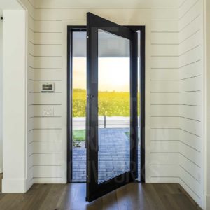 Clearview Pivot Iron Entry Door