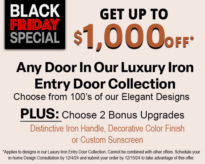 Black Friday Offer