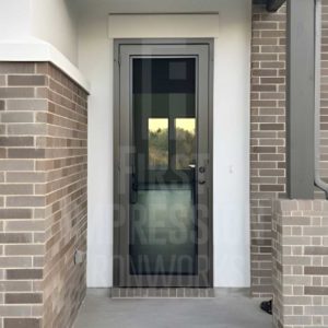 Texas Clearview Iron Security Door Single with Bug Screen