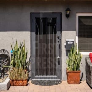 Contemporary Iron Security Door