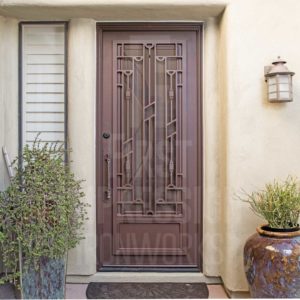 Canyon Exclusive Contemporary Iron Entry Door