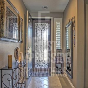 French Tip Iron Security Door Exclusive