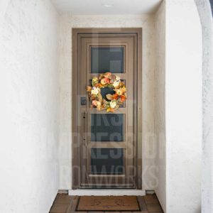 Desert Contemporary Iron Security Door Exclusive