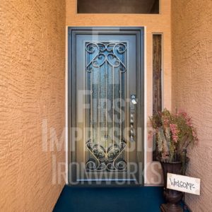 Texas Vistancia Iron Entry Door with Iron Handle