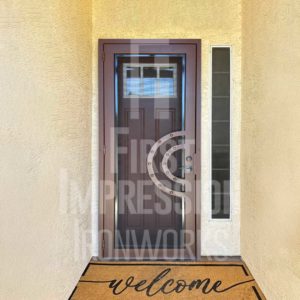 Eclipse Iron Security Door