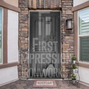 Mexican Siesta Iron Security Door