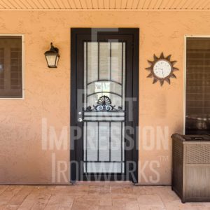 Park Avenue Iron Security Door