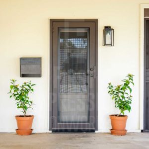 Clear View Iron Security Door Signature